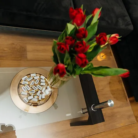 Zielona Apartamento *