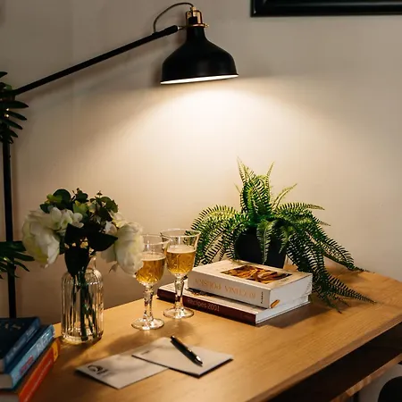 Maya's Flats & 69 - Zielona Gdańsk